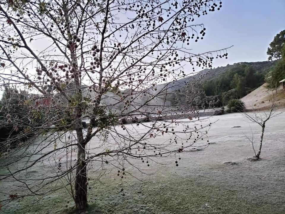 Chalé da Vó Rosa Monte Verde  Exteriér fotografie