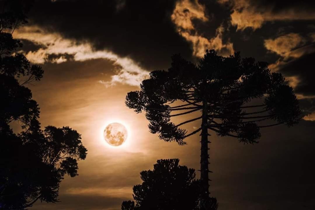Chalé da Vó Rosa Monte Verde  Exteriér fotografie